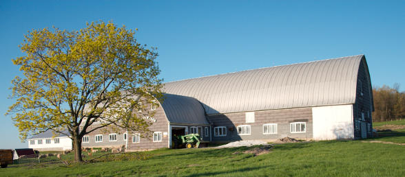 The barn